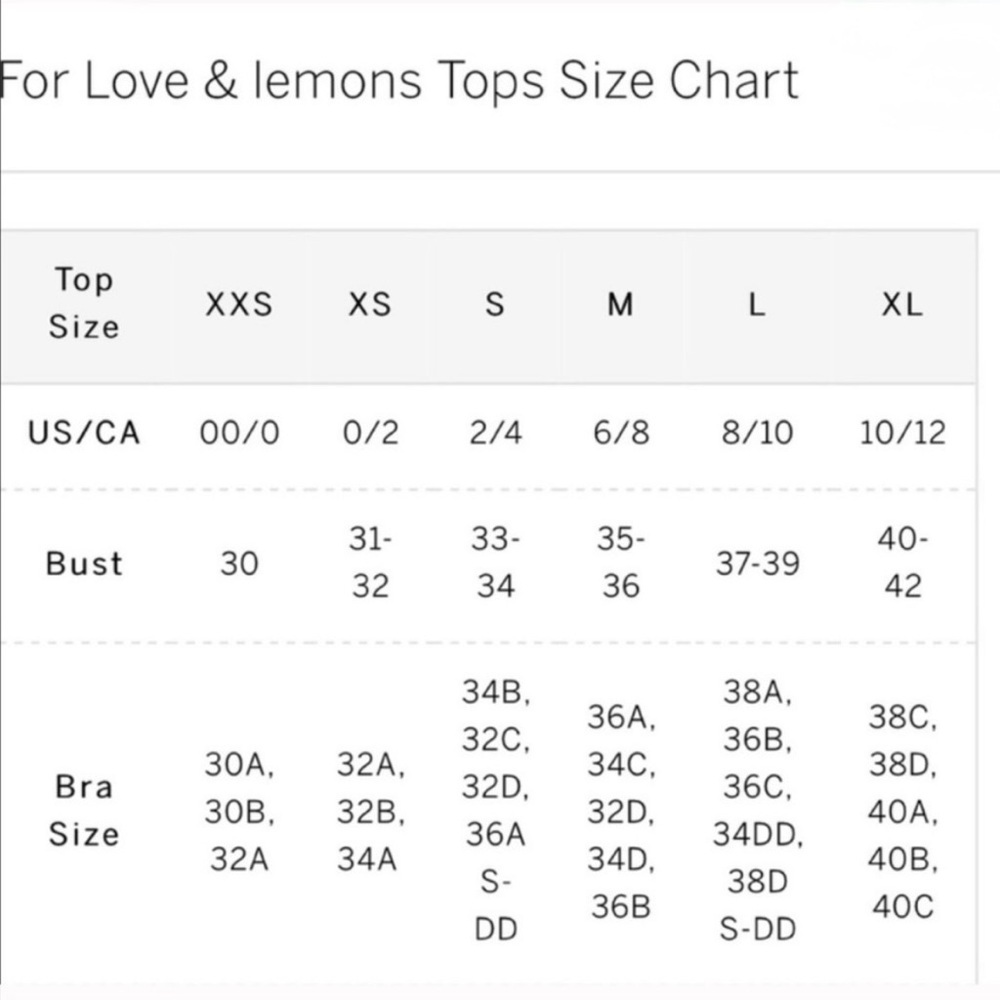 For Love And Lemons Alana Mini Dress in Blue - Picture 12 of 12